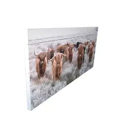 Kirklands Home Wall Plaques|Highland Herd Wood Art Print, 45x19 in.