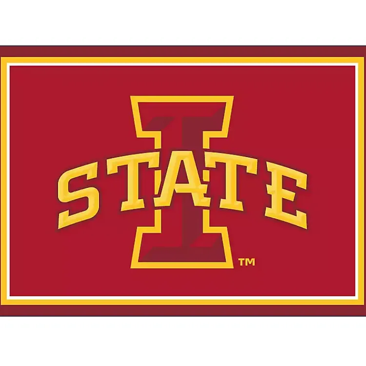 Kirklands Home Area Rugs|Iowa State University Area Rug, 3x4