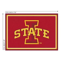 Kirklands Home Area Rugs|Iowa State University Area Rug, 3x4