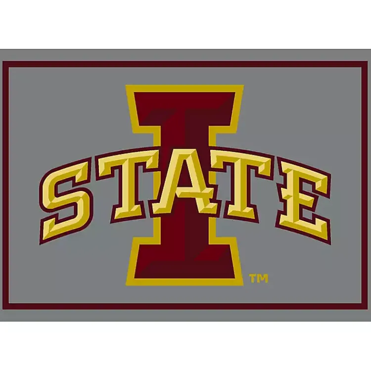 Kirklands Home Area Rugs|Iowa State University Area Rug, 4x6