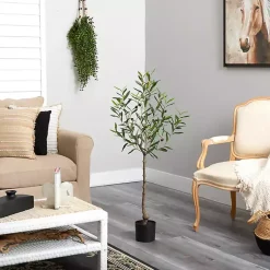 Outlet Italian Olive Tree in Black Nursery Planter, 4 ft. Trees & Topiaries