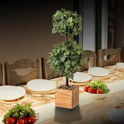 Discount Ivy Double Ball Topiary in Wood Planter Trees & Topiaries