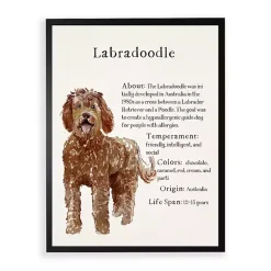 Kirklands Home Wall Quotes & Signs|Labradoodle Facts Framed Wall Plaque