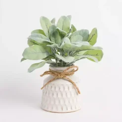 Sale Lamb's Ear Arrangement in White Vase Arrangements & Greenery