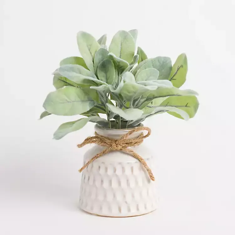 Sale Lamb's Ear Arrangement in White Vase Arrangements & Greenery