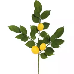Lemon Leaf Spray Stems, Set of 4 Stems & Bouquets