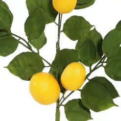 Lemon Leaf Spray Stems, Set of 4 Stems & Bouquets