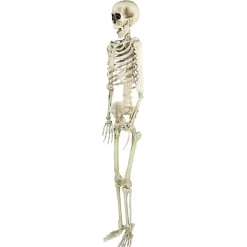 Hot Life Size Outdoor Skeleton Decoration Halloween