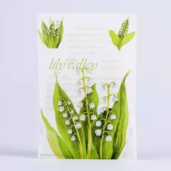 Sale Lily of the Valley Sachet Sachets