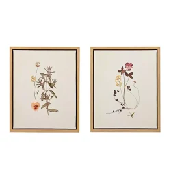 Kirklands Home Framed Art|Martha Stewart French Herbarium Framed Art Set Ivory