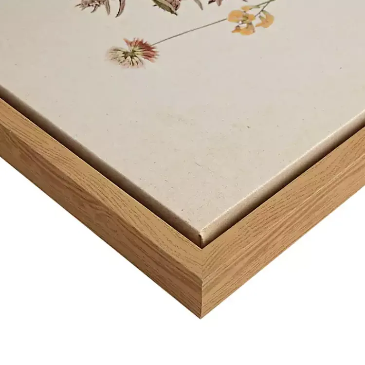 Kirklands Home Framed Art|Martha Stewart French Herbarium Framed Art Set Ivory