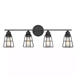 Kirklands Home Flush Mount Lighting|Matte Cage Shade Vanity Light Black