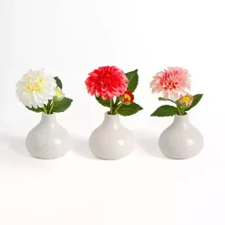 Sale Mini Dahlia in Ceramic Vase Arrangements, Set of 3 Arrangements & Greenery