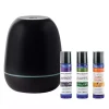 Best Mini Majesto Essential Oils and Diffuser Gift Set Home Fragrance