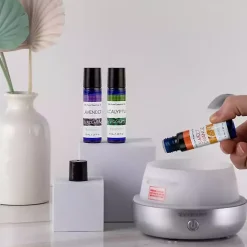 Best Mini Majesto Essential Oils and Diffuser Gift Set Home Fragrance