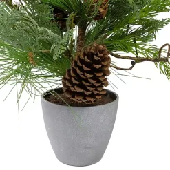 Discount Mixed Pine Potted Christmas Tree Trees & Topiaries