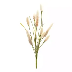Natural Foxtail Sprays, Set of 6 Stems & Bouquets