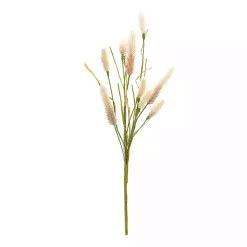 Natural Foxtail Sprays, Set of 6 Stems & Bouquets