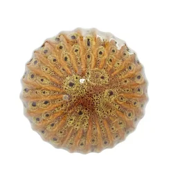 Discount Natural Shades Ceramic 4-pc. Orb Filler Set Bowl Filler