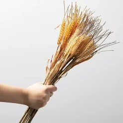 Outlet Neutral Fall Wheat Bundles, Set of 2 Fall