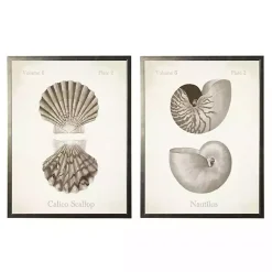 Kirklands Home Framed Art|Neutral Seashells Framed Art Prints, Set of 2