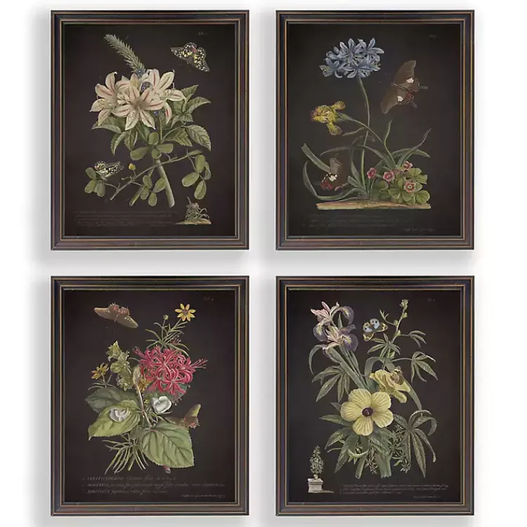 Kirklands Home Framed Art|Night Butterfly Blooms Framed Art Prints, Set of 4