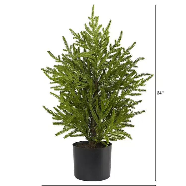 Discount Norfolk Island Pine Mini Tree in Black Planter Christmas Arrangements & Garland