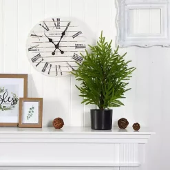 Discount Norfolk Island Pine Mini Tree in Black Planter Christmas Arrangements & Garland