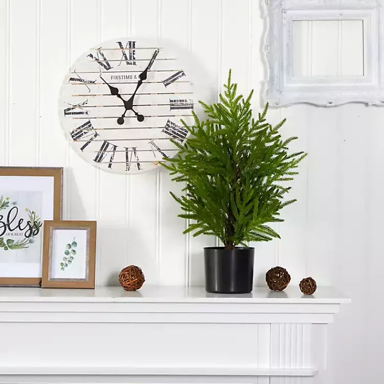 Discount Norfolk Island Pine Mini Tree in Black Planter Christmas Arrangements & Garland