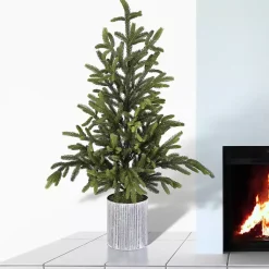 Online Norway Spruce Potted Christmas Tree Christmas Arrangements & Garland