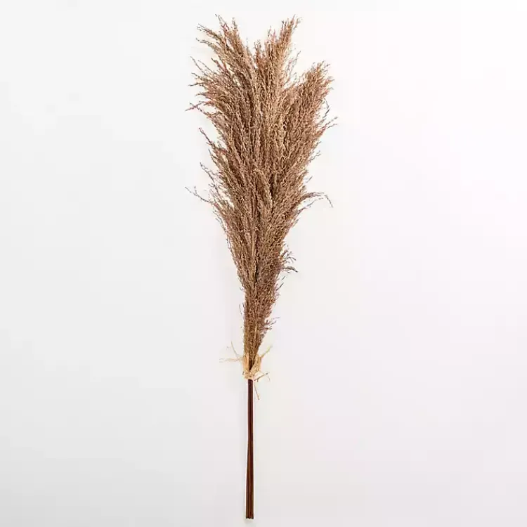New Nutmeg Pampas Grass Bundle Stems & Bouquets