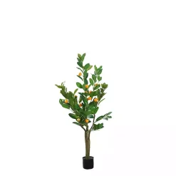 Online Orange Fruit Tree in Black Pot, 4 ft. Trees & Topiaries