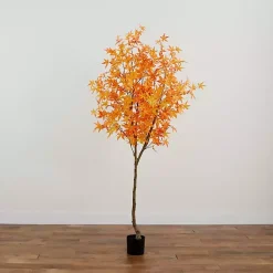 Best Maple Tree in Black Planter, 7 ft. Trees & Topiaries