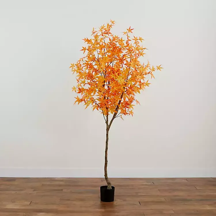 Best Maple Tree in Black Planter, 7 ft. Trees & Topiaries