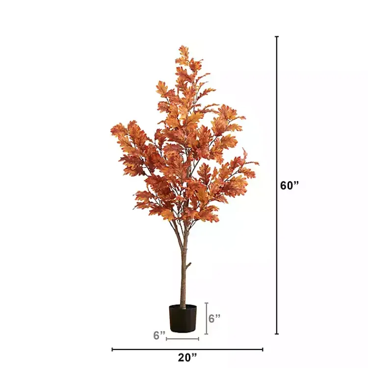 Best Orange Oak Tree in Black Planter, 5 ft. Trees & Topiaries