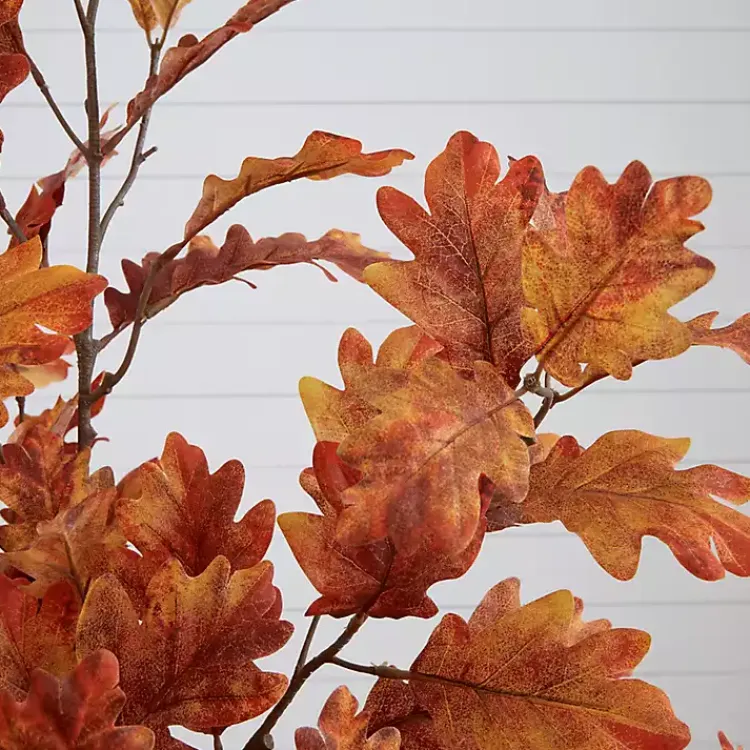 Best Orange Oak Tree in Black Planter, 5 ft. Trees & Topiaries