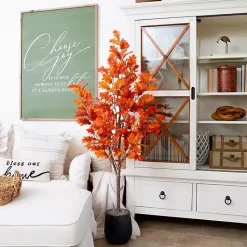 Best Orange Oak Tree in Black Planter, 5 ft. Trees & Topiaries