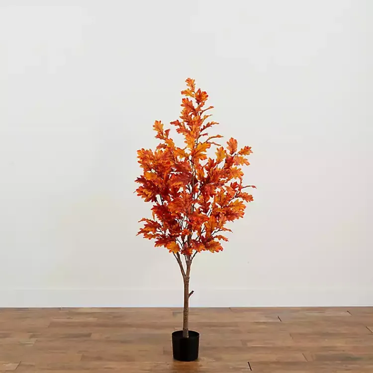 Best Orange Oak Tree in Black Planter, 5 ft. Trees & Topiaries