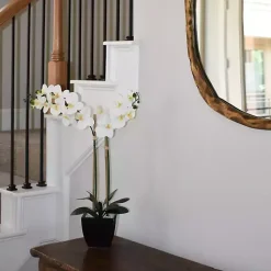 Discount Orchid Arrangement in Black Pot Arrangements & Greenery