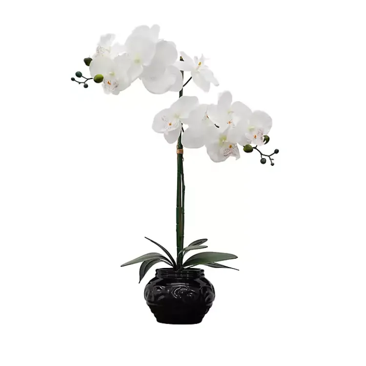 Online Orchid Arrangement in Floral Planter Arrangements & Greenery