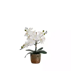 Discount Orchid Arrangement in Gold Decorative Pot Arrangements & Greenery