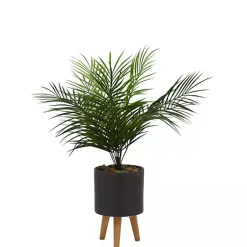 Discount Palm Arrangement in Gray Footed Pot Arrangements & Greenery