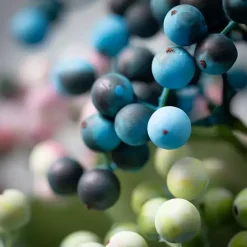 Outlet Pastel Berry Cluster Stems, Set of 3 Stems & Bouquets