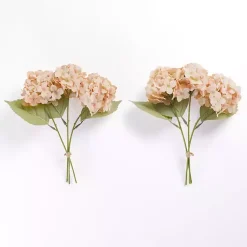 Online Hydrangea Bundles, Set of 2 Stems & Bouquets