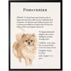 Kirklands Home Wall Quotes & Signs|Pomeranian Facts Framed Wall Plaque