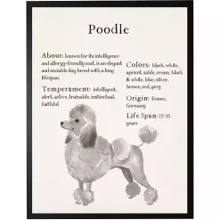 Kirklands Home Wall Quotes & Signs|Poodle Facts Framed Wall Plaque