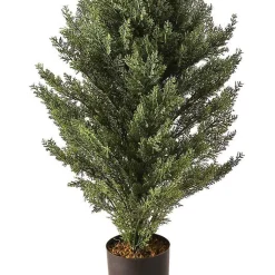 Outlet Potted Arborvitae Christmas Tree Christmas Arrangements & Garland