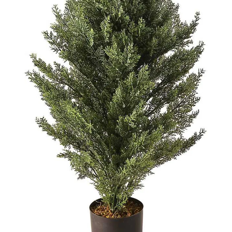 Outlet Potted Arborvitae Christmas Tree Christmas Arrangements & Garland