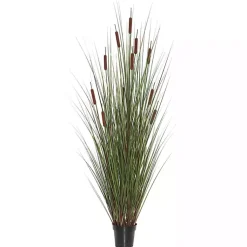 Online Potted Brown Cats Tails Grass, 48 in. Trees & Topiaries