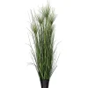 Potted Green Grass, 36 in. Trees & Topiaries